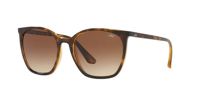 Anteojos De Sol Jack Pacific JK1013M Havana Gradient Brown