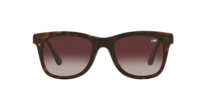 Anteojos De Sol Jack Pacific 0JK1027M Havana/Gris