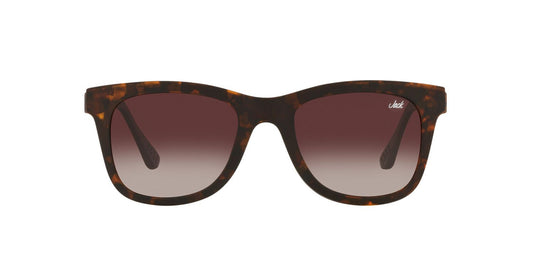 Anteojos De Sol Jack Pacific 0JK1027M Havana/Gris
