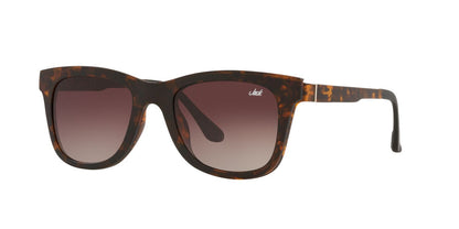 Anteojos De Sol Jack Pacific 0JK1027M Havana/Gris