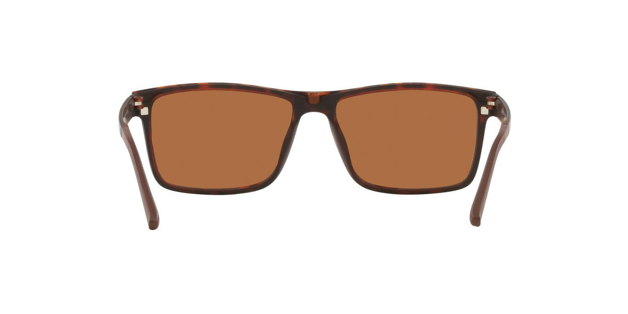 Anteojos De Sol Jack Pacific 0JK1028M Havana/Marron