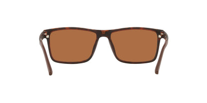 Anteojos De Sol Jack Pacific 0JK1028M Havana/Marron