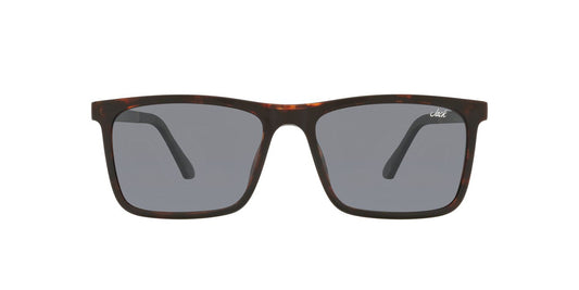 Anteojos De Sol Jack Pacific 0JK1029M Havana/Gris