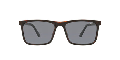 Anteojos De Sol Jack Pacific 0JK1029M Havana/Gris