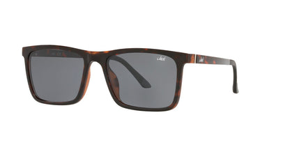 Anteojos De Sol Jack Pacific 0JK1029M Havana/Gris