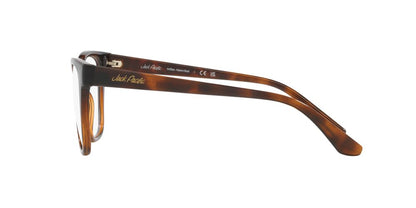 Anteojos De Sol Jack Pacific JK1038 Dark Havana Gradient Brown Café/Havana