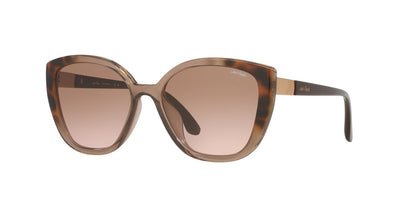 Anteojos De Sol Jack Pacific 0JK1043U Havana/Gris