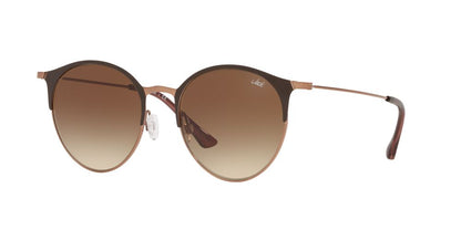 Anteojos De Sol Jack Pacific JK3004M Copper Gradient Brown