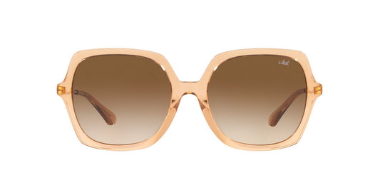 Anteojos De Sol Jack Pacific 0JK6002M Beige/Café