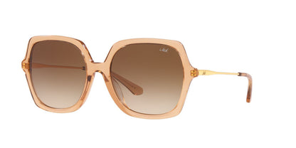 Anteojos De Sol Jack Pacific 0JK6002M Beige/Café