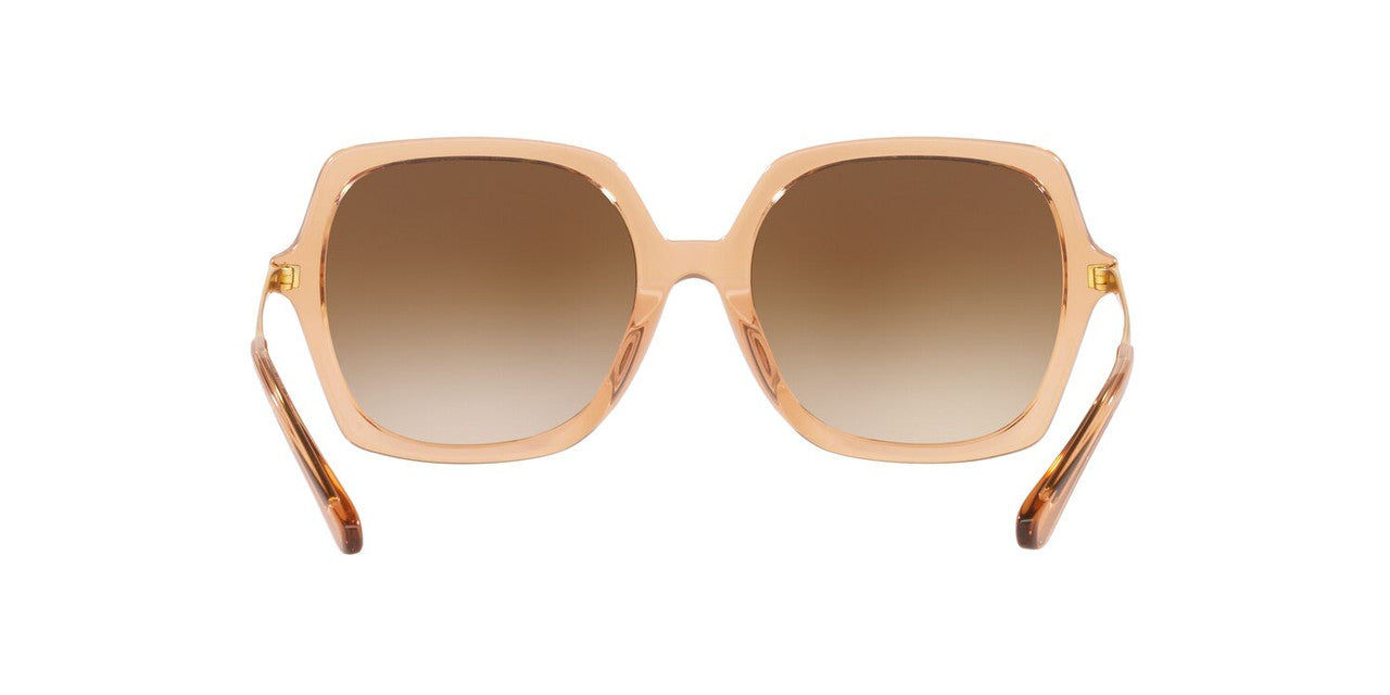 Anteojos De Sol Jack Pacific 0JK6002M Beige/Café