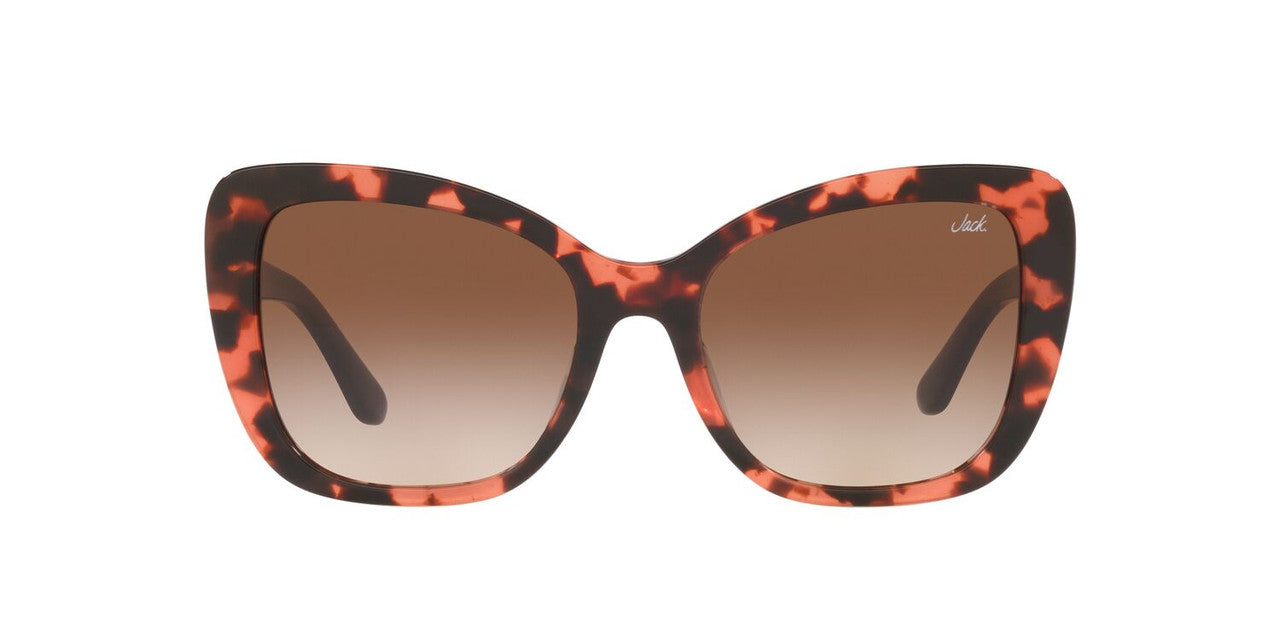 Anteojos De Sol Jack Pacific 0JK6003UM Havana/Café
