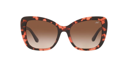 Anteojos De Sol Jack Pacific 0JK6003UM Havana/Café