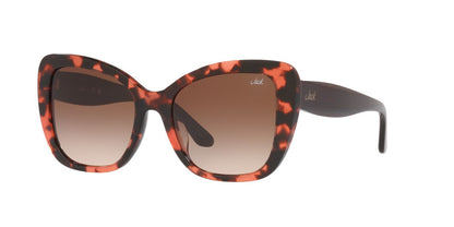 Anteojos De Sol Jack Pacific 0JK6003UM Havana/Café