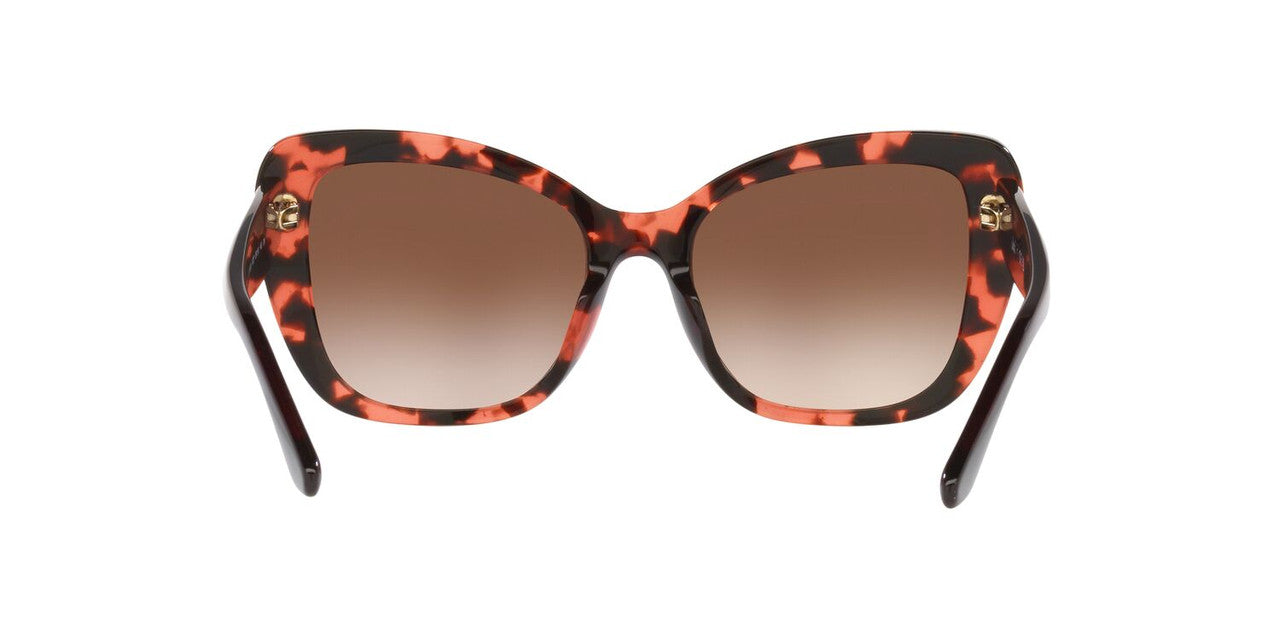 Anteojos De Sol Jack Pacific 0JK6003UM Havana/Café