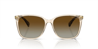 Anteojos De Sol Ralph RA5293 Vvcv Café/Café