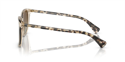 Anteojos De Sol Ralph RA5293 Vvcv Café/Café