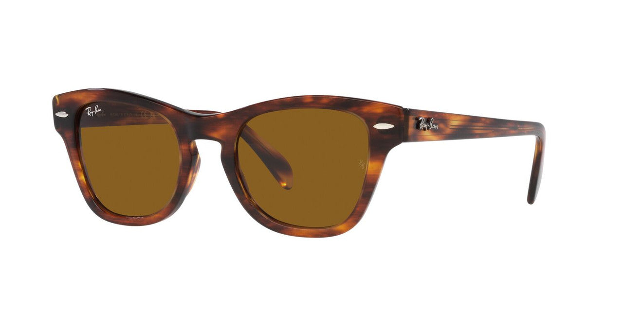 Anteojos De Sol Ray-Ban RB0707S Café/Havana