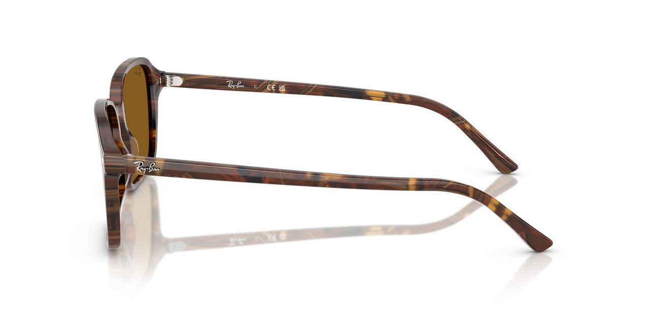 Anteojos De Sol Ray-Ban 0RB2231 Raimond Café/Café