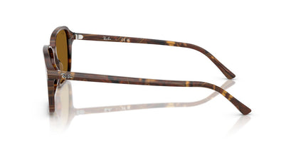 Anteojos De Sol Ray-Ban 0RB2231 Raimond Café/Café