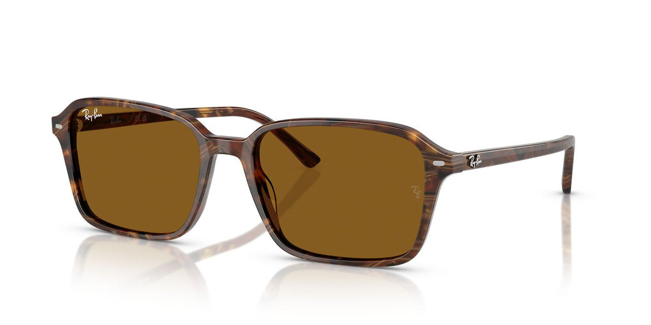 Anteojos De Sol Ray-Ban 0RB2231 Raimond Café/Café