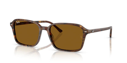 Anteojos De Sol Ray-Ban 0RB2231 Raimond Café/Café