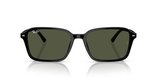 Anteojos De Sol Ray-Ban 0RB2231 Raimond Negro/Verde