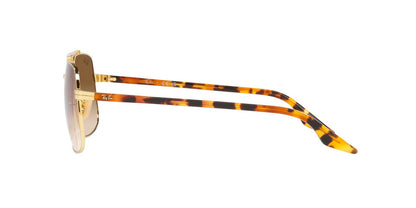 Anteojos De Sol Ray-Ban 0RB3699 Dorado/Café
