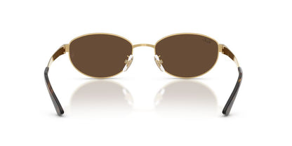 Anteojos De Sol Ray-Ban 0RB3774D Arista Dark Brown Café/Dorado