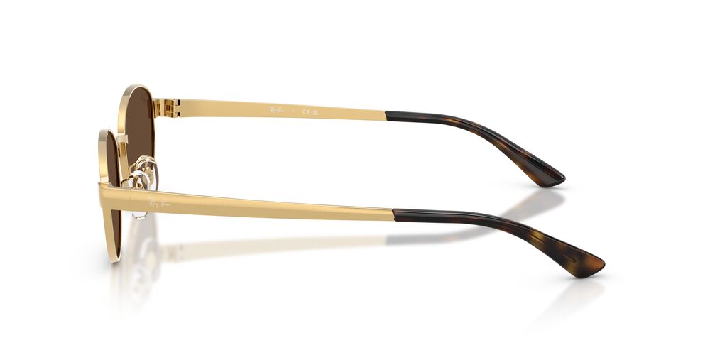 Anteojos De Sol Ray-Ban 0RB3774D Arista Dark Brown Café/Dorado