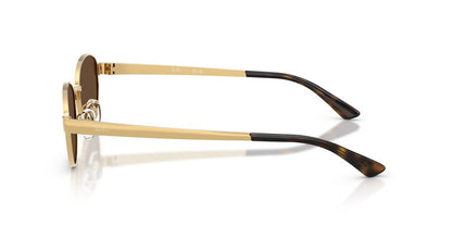 Anteojos De Sol Ray-Ban 0RB3774D Arista Dark Brown Café/Dorado