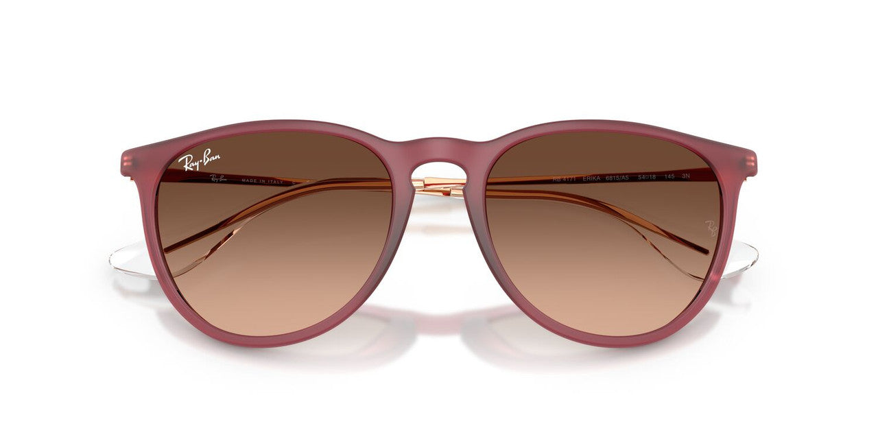 Anteojos De Sol Ray-Ban 0RB4171 Erika Violeta/Rosa