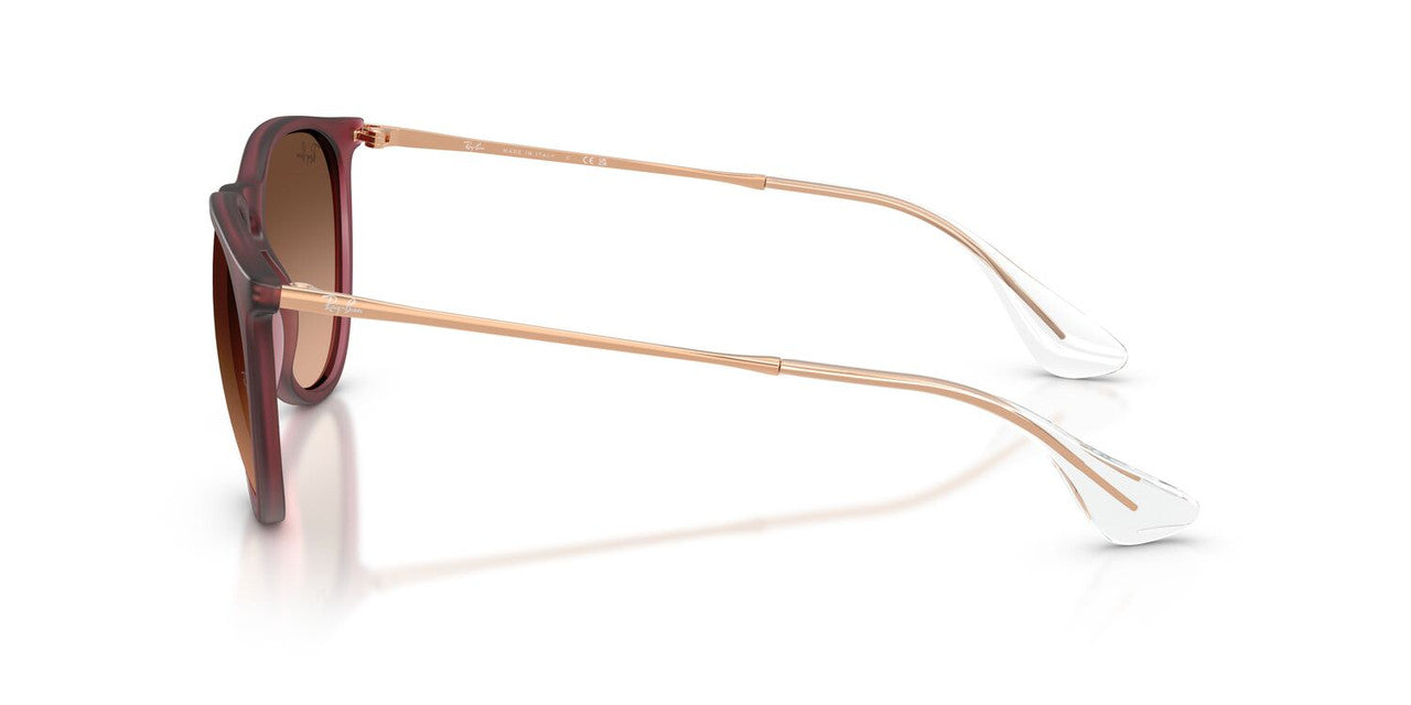 Anteojos De Sol Ray-Ban 0RB4171 Erika Violeta/Rosa