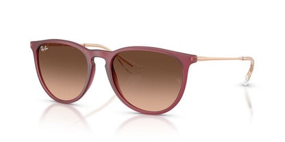 Anteojos De Sol Ray-Ban 0RB4171 Erika Violeta/Rosa