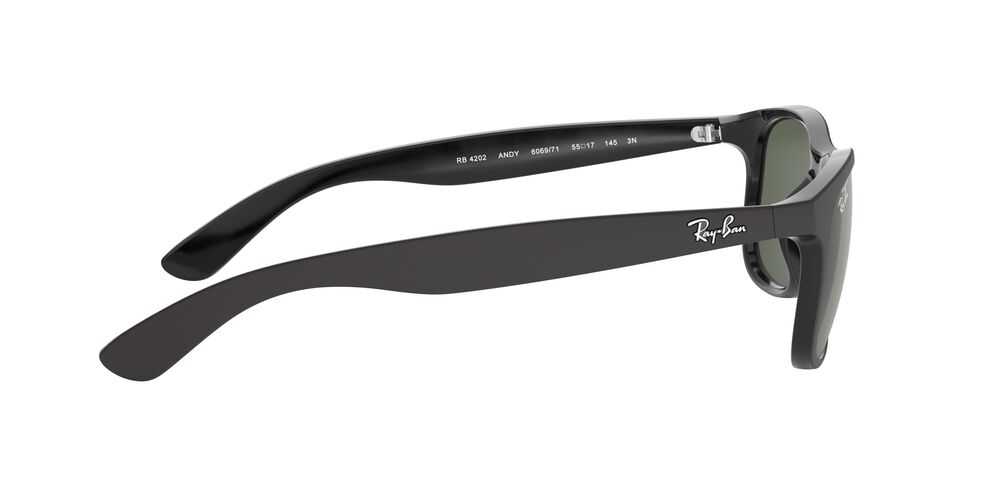 Anteojos De Sol Ray-Ban RB4202 Andy Verde/Negro