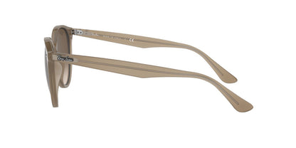 Anteojos De Sol Ray-Ban RB4305 Café/Café