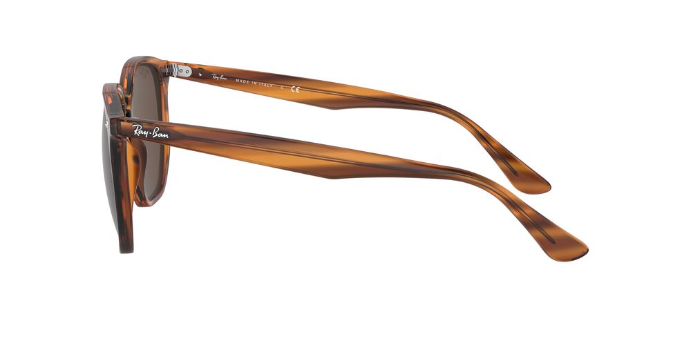 Anteojos De Sol Ray-Ban 0RB4306 Café/Havana