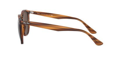 Anteojos De Sol Ray-Ban 0RB4306 Café/Havana