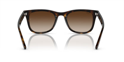 Anteojos De Sol Ray-Ban 0RB4420 Havana/Café