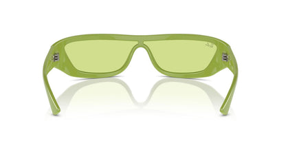 Anteojos De Sol Ray-Ban 0RB4431 Xan Verde/Verde