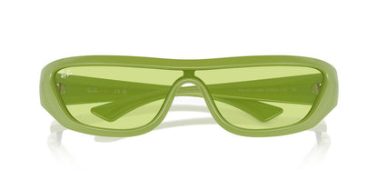 Anteojos De Sol Ray-Ban 0RB4431 Xan Verde/Verde