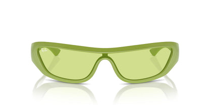 Anteojos De Sol Ray-Ban 0RB4431 Xan Verde/Verde