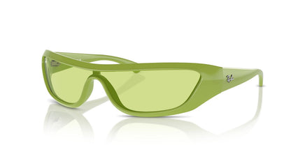 Anteojos De Sol Ray-Ban 0RB4431 Xan Verde/Verde