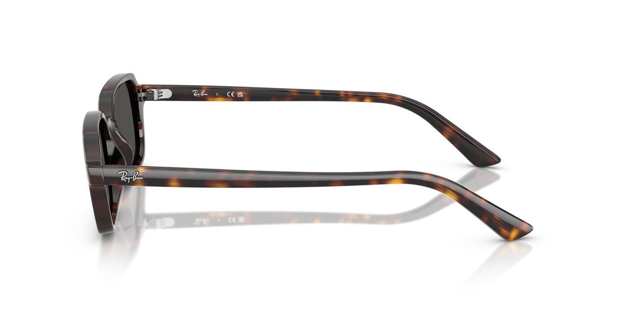 Anteojos De Sol Ray-Ban RB4455 Zuri Gris/Havana