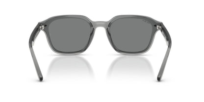 Anteojos De Sol Ray-Ban 0RB4458D Gris/Café