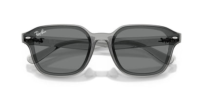 Anteojos De Sol Ray-Ban 0RB4458D Gris/Café