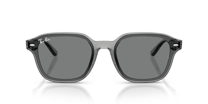 Anteojos De Sol Ray-Ban 0RB4458D Gris/Café