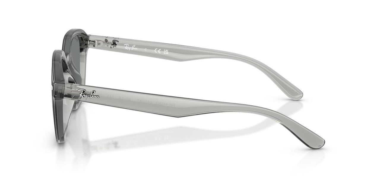 Anteojos De Sol Ray-Ban 0RB4458D Gris/Café
