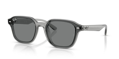 Anteojos De Sol Ray-Ban 0RB4458D Gris/Café