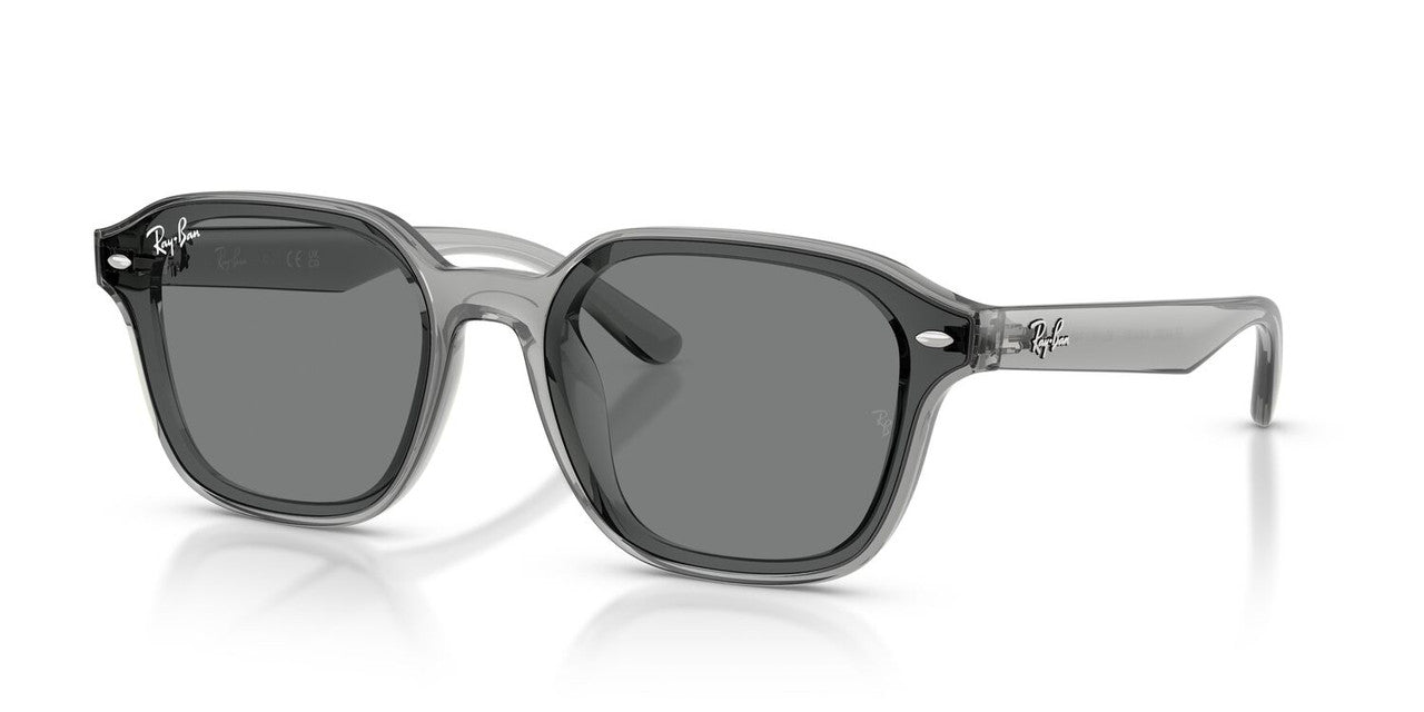 Anteojos De Sol Ray-Ban 0RB4458D Gris/Café